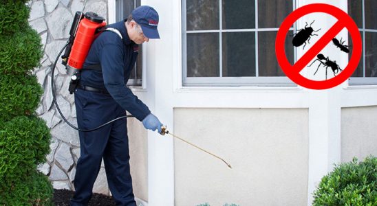 Efeler Kemirgen İlaçlama böcek ilaçlama ve haşere kontrolü — ilaclama-tr.com